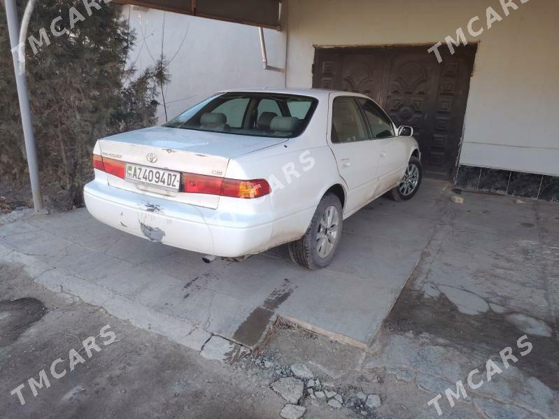 Toyota Camry 2000 - 95 000 TMT - Daşoguz - img 4