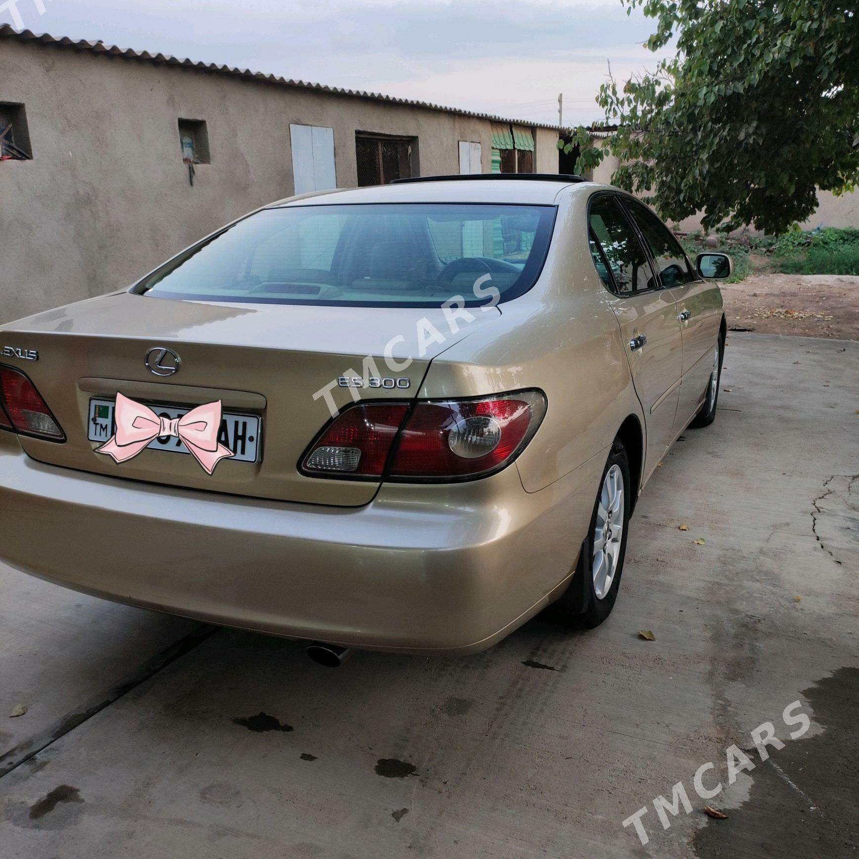 Lexus ES 300 2002 - 183 000 TMT - Tejen - img 8