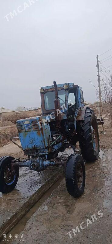 MTZ T-28 2025 - 20 000 TMT - Baýramaly - img 2