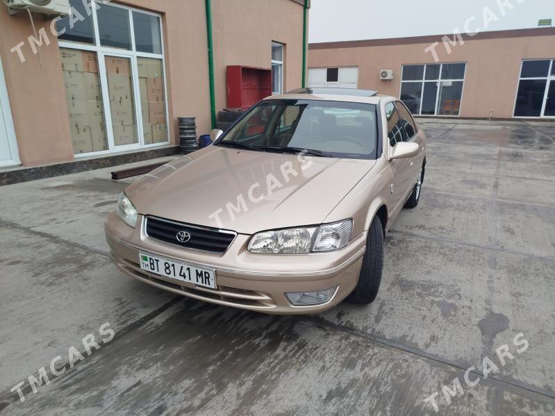 Toyota Camry 2001 - 155 000 TMT - Şatlyk - img 9