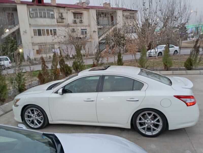 Nissan Maxima 2010 - 155 000 TMT - Ашхабад - img 3