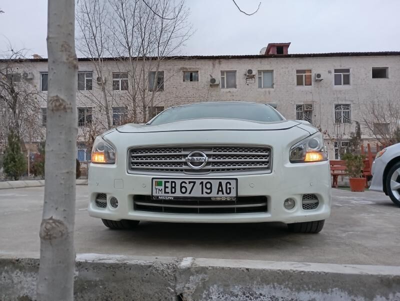 Nissan Maxima 2010 - 155 000 TMT - Ашхабад - img 4