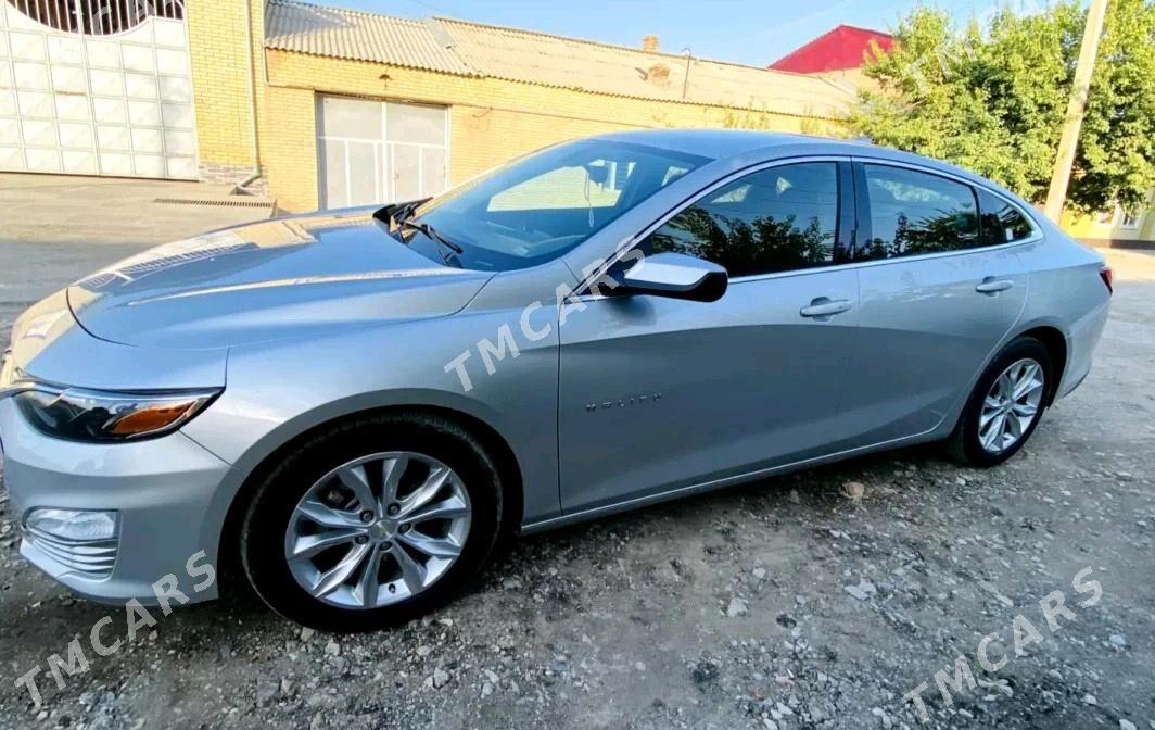 Chevrolet Malibu 2019 - 260 000 TMT - Änew - img 3