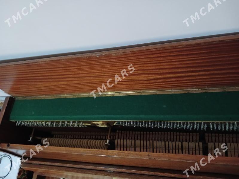 Pianino - Daşoguz - img 3
