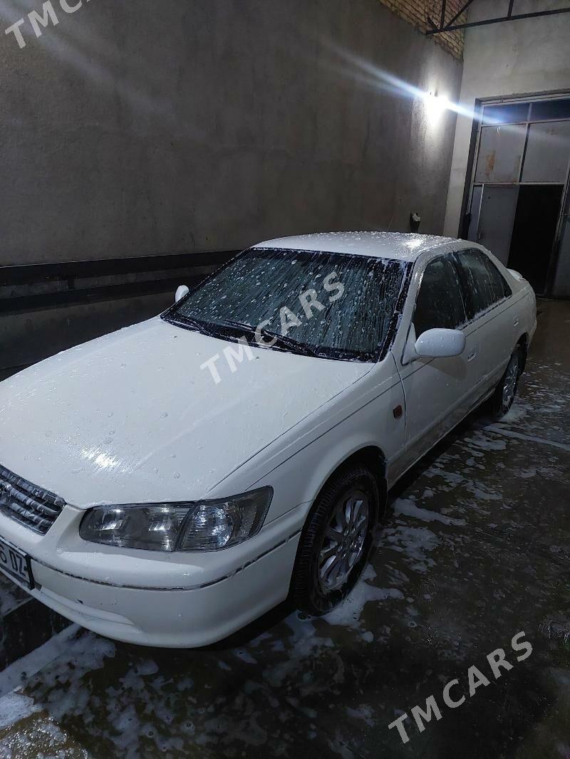 Toyota Camry 2001 - 115 000 TMT - Губадаг - img 3