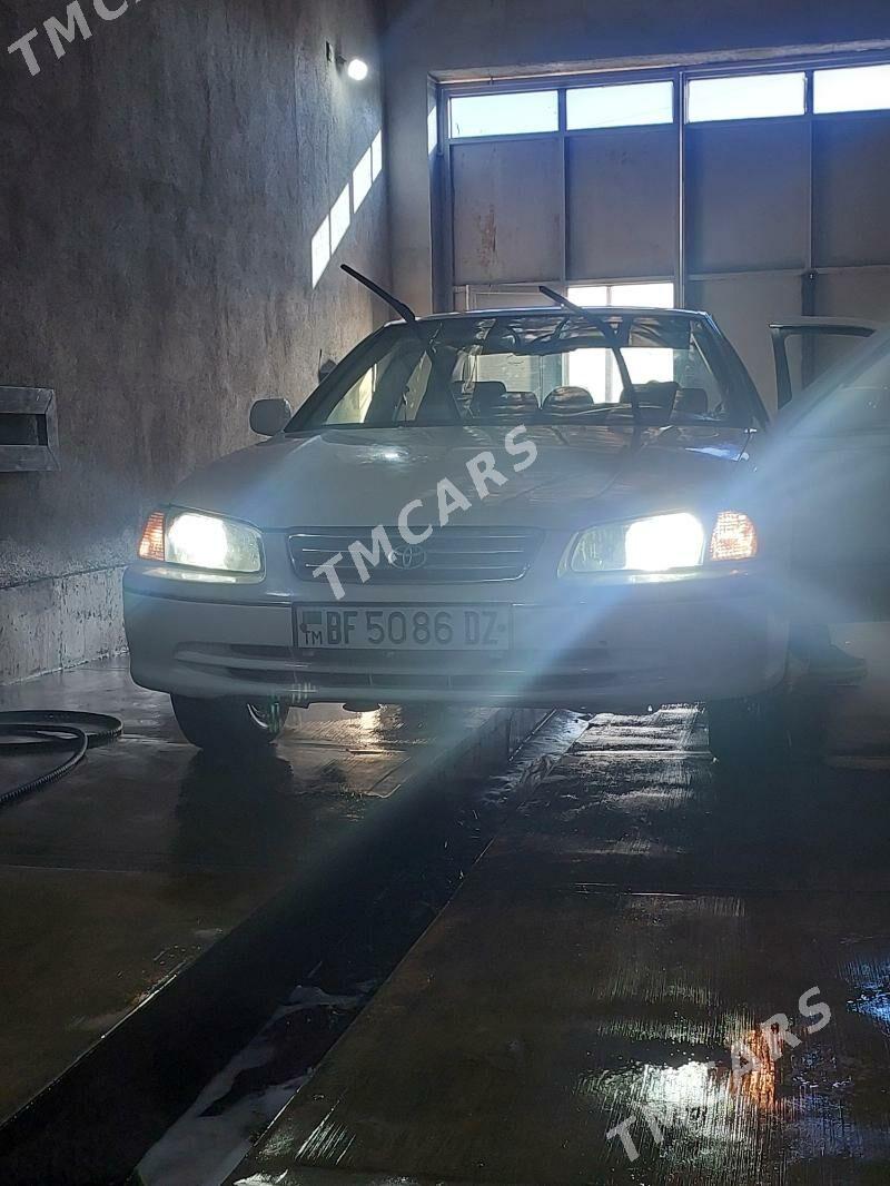 Toyota Camry 2001 - 115 000 TMT - Губадаг - img 8