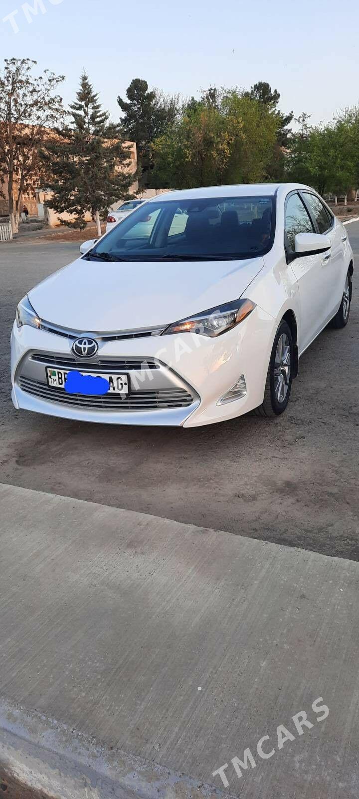 Toyota Corolla 2019 - 215 000 TMT - Büzmeýin GRES - img 2