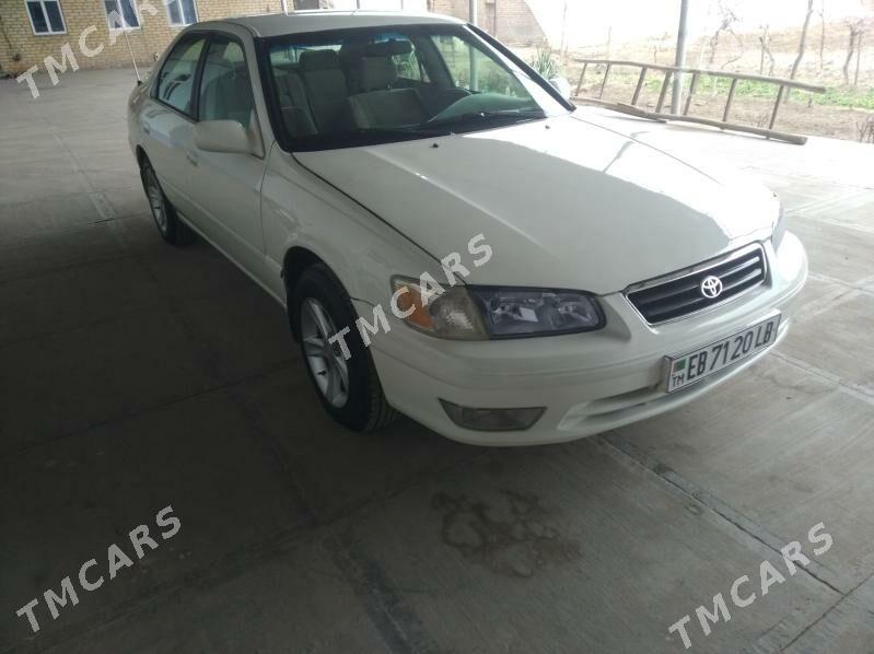 Toyota Camry 2000 - 120 000 TMT - Саят - img 2