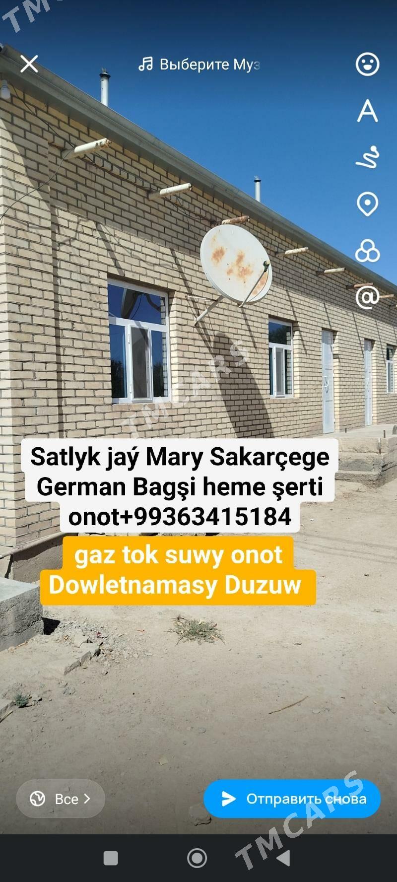 Satlyk jay - Sakarçäge - img 4