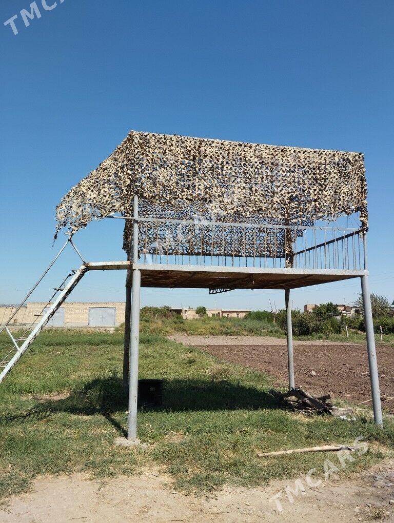 Tapçan - Сакар - img 3