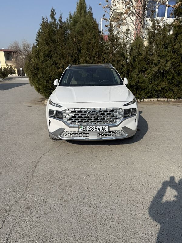 Hyundai Santa Fe 2021 - 450 000 TMT - Aşgabat - img 8