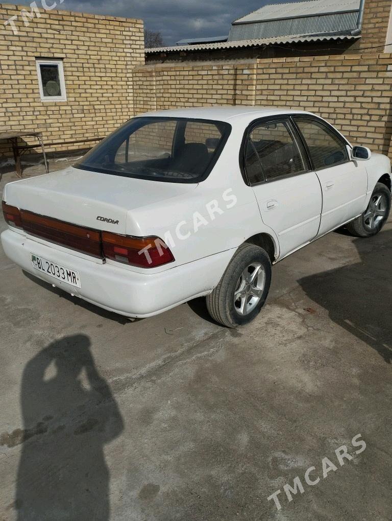 Toyota Corolla 1995 - 38 000 TMT - Mary - img 2