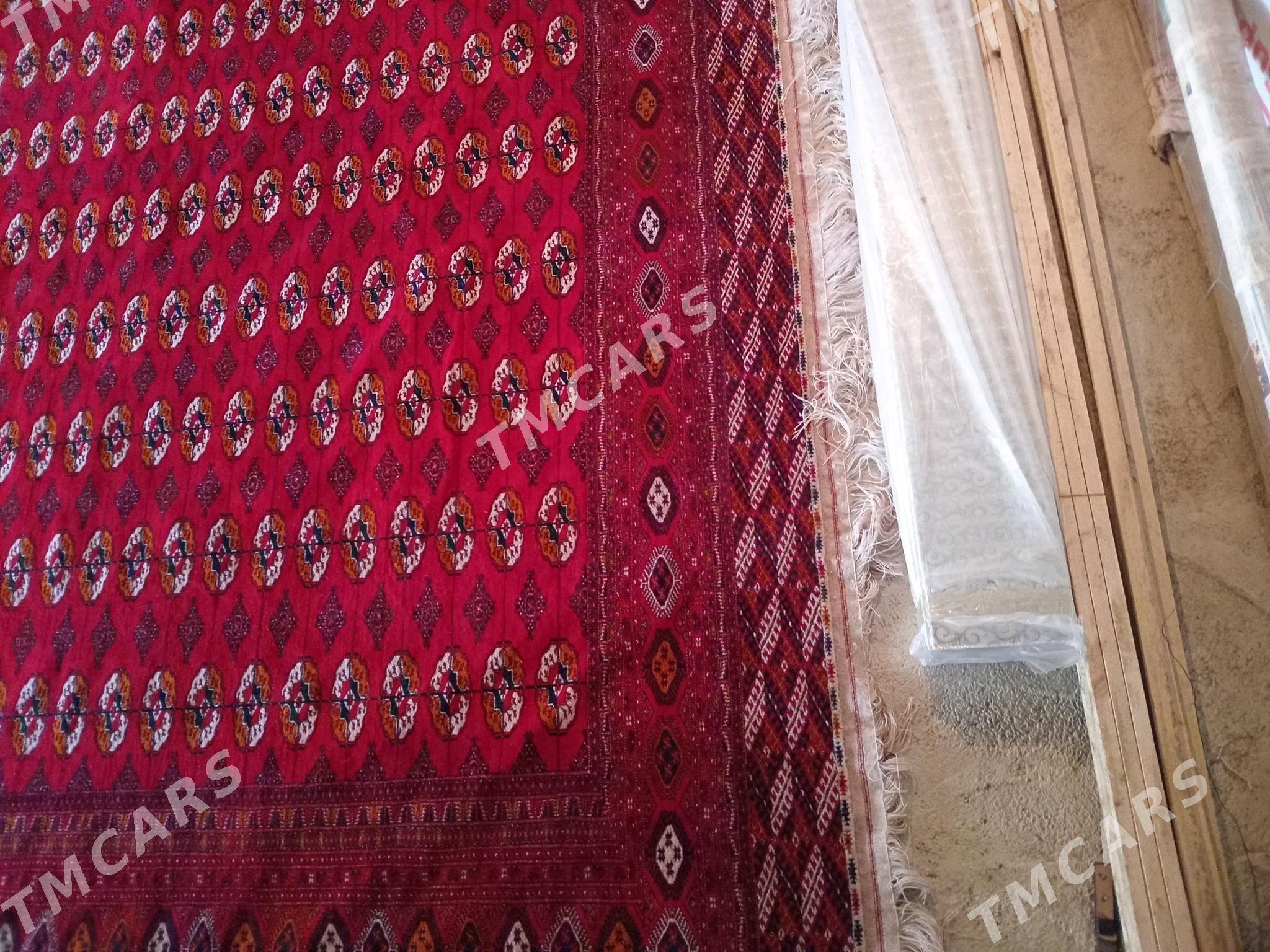 El haly 5/6 lyk - Бахарден - img 3
