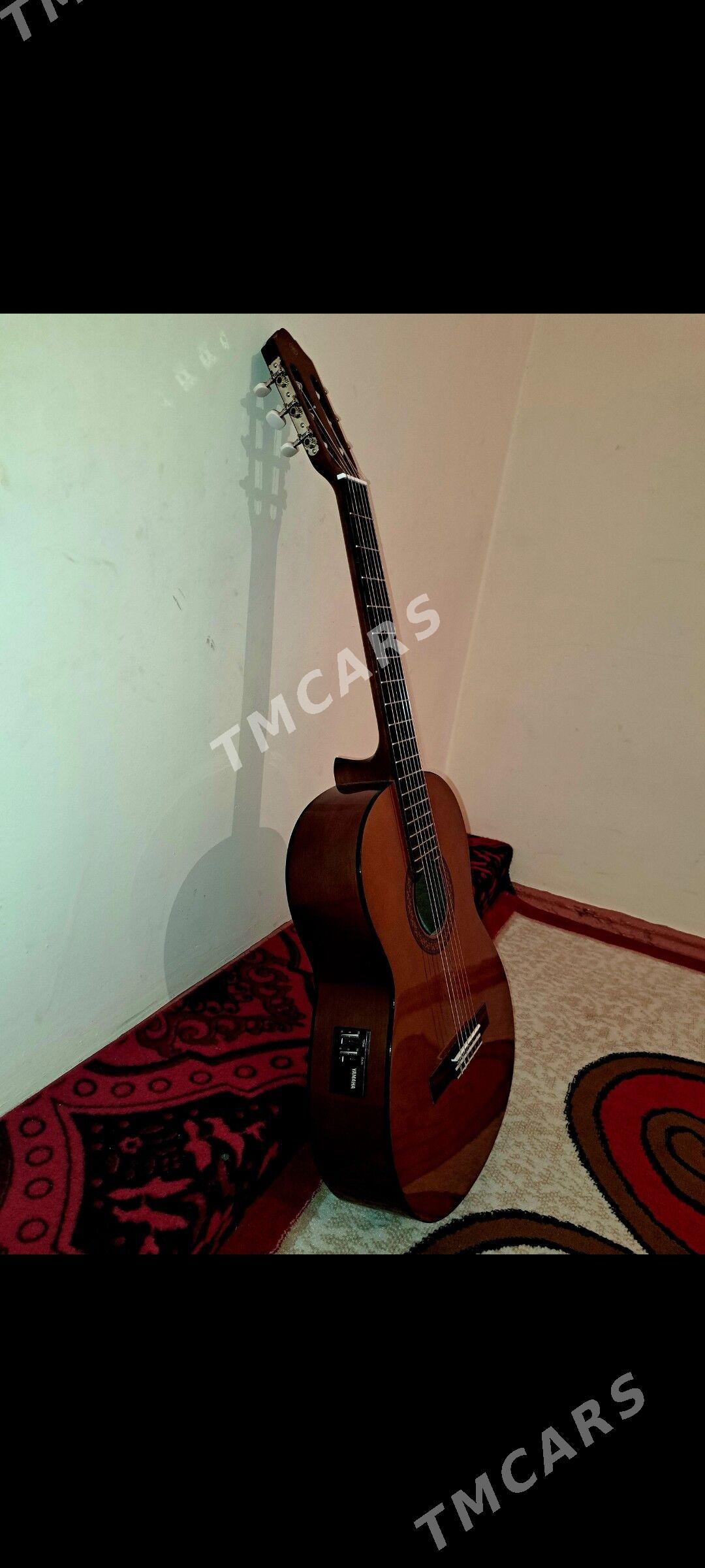 Gitara - Daşoguz - img 2