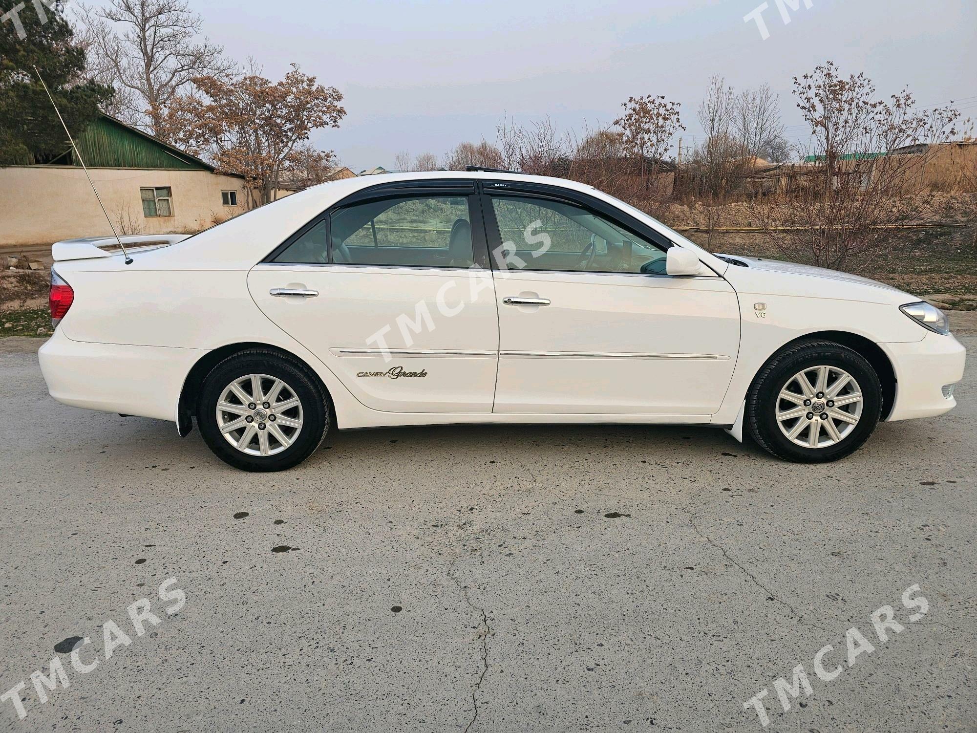 Toyota Camry 2003 - 190 000 TMT - Halaç - img 5