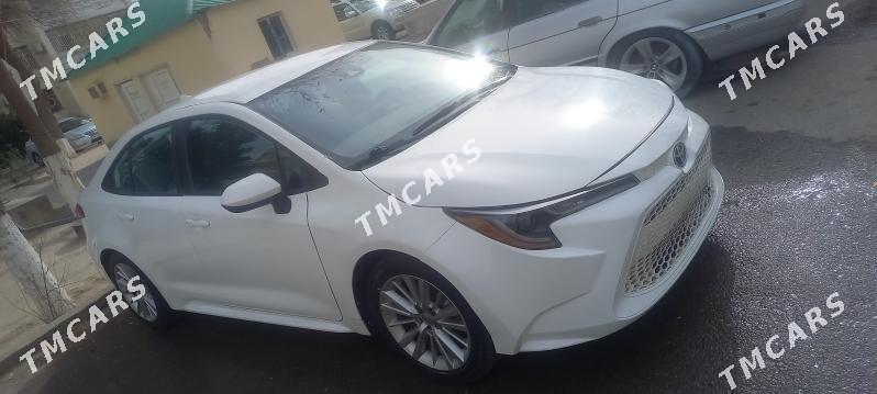 Toyota Corolla 2019 - 185 000 TMT - Aşgabat - img 2