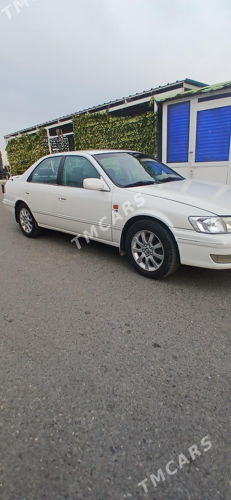 Toyota Camry 2001 - 130 000 TMT - Ak bugdaý etraby - img 3