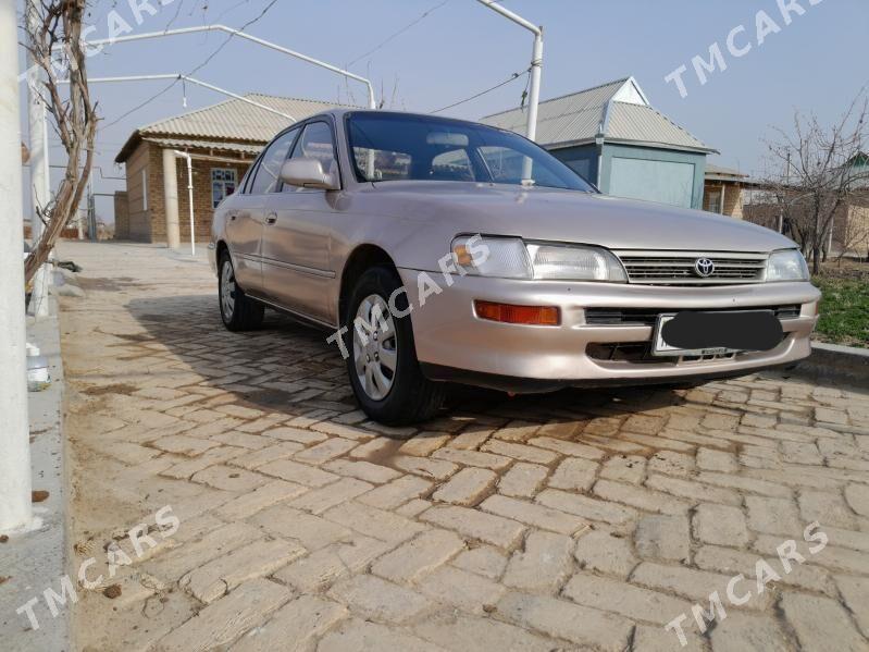 Toyota Corolla 1993 - 40 000 TMT - Türkmengala - img 2