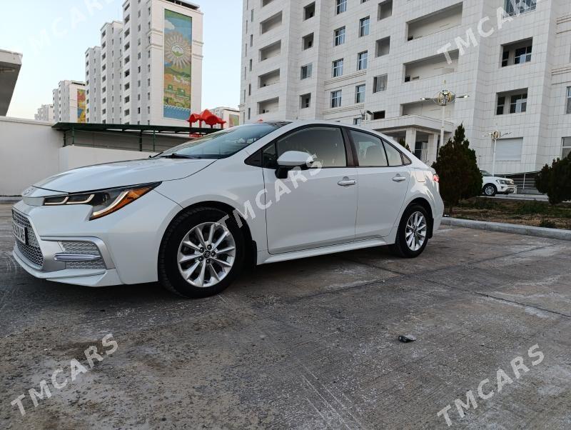 Toyota Corolla 2020 - 230 000 TMT - Aşgabat - img 3