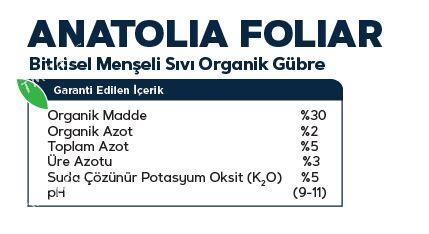 Anatolia foliar - Änew - img 2