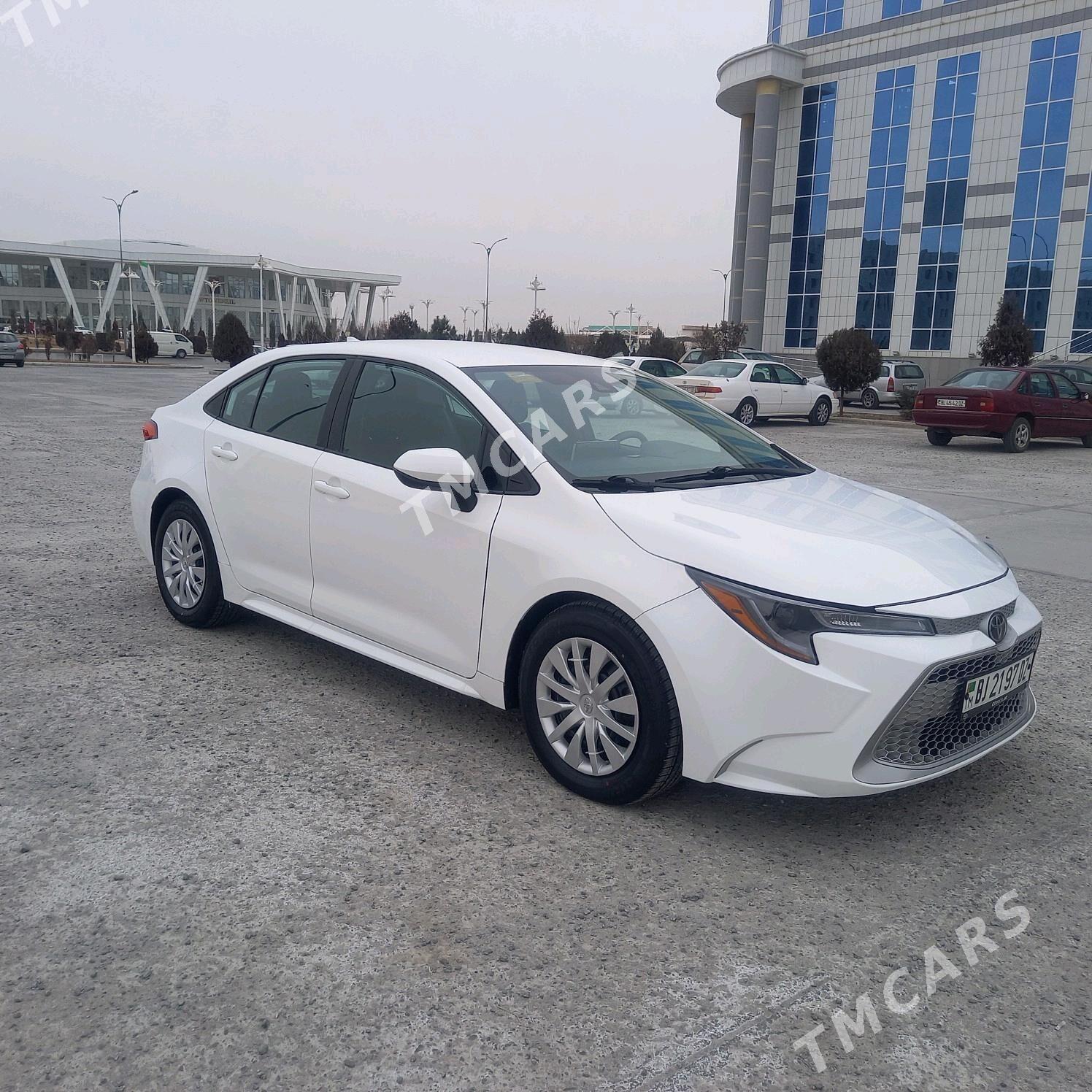 Toyota Corolla 2020 - 245 000 TMT - Daşoguz - img 1