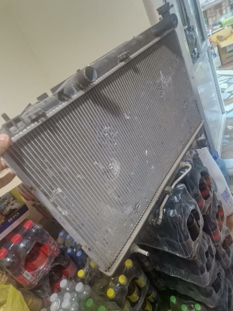 2010  okuzkelle  2.5 radiyator 500 TMT - Mary - img 2