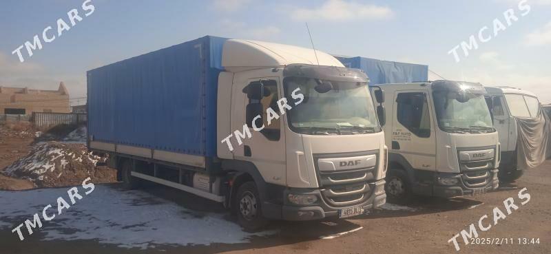 DAF LF 2019 - 700 000 TMT - Türkmenabat - img 2