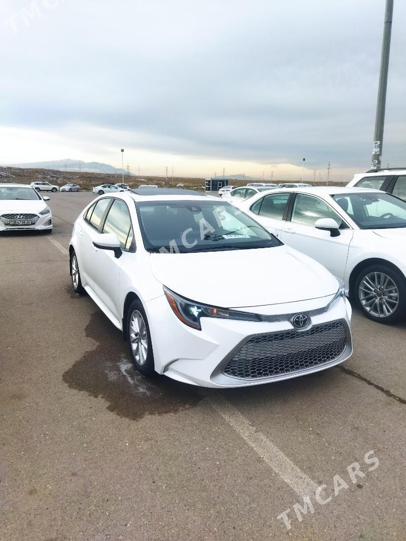 Toyota Corolla 2020 - 265 000 TMT - Ашхабад - img 2