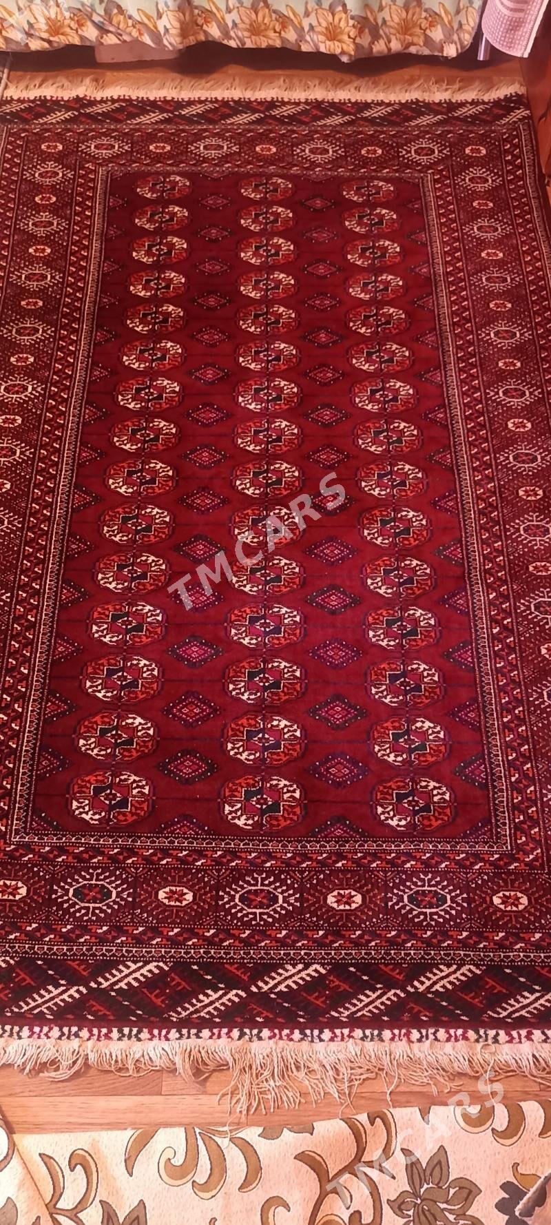 Haly artel - Balkanabat - img 2