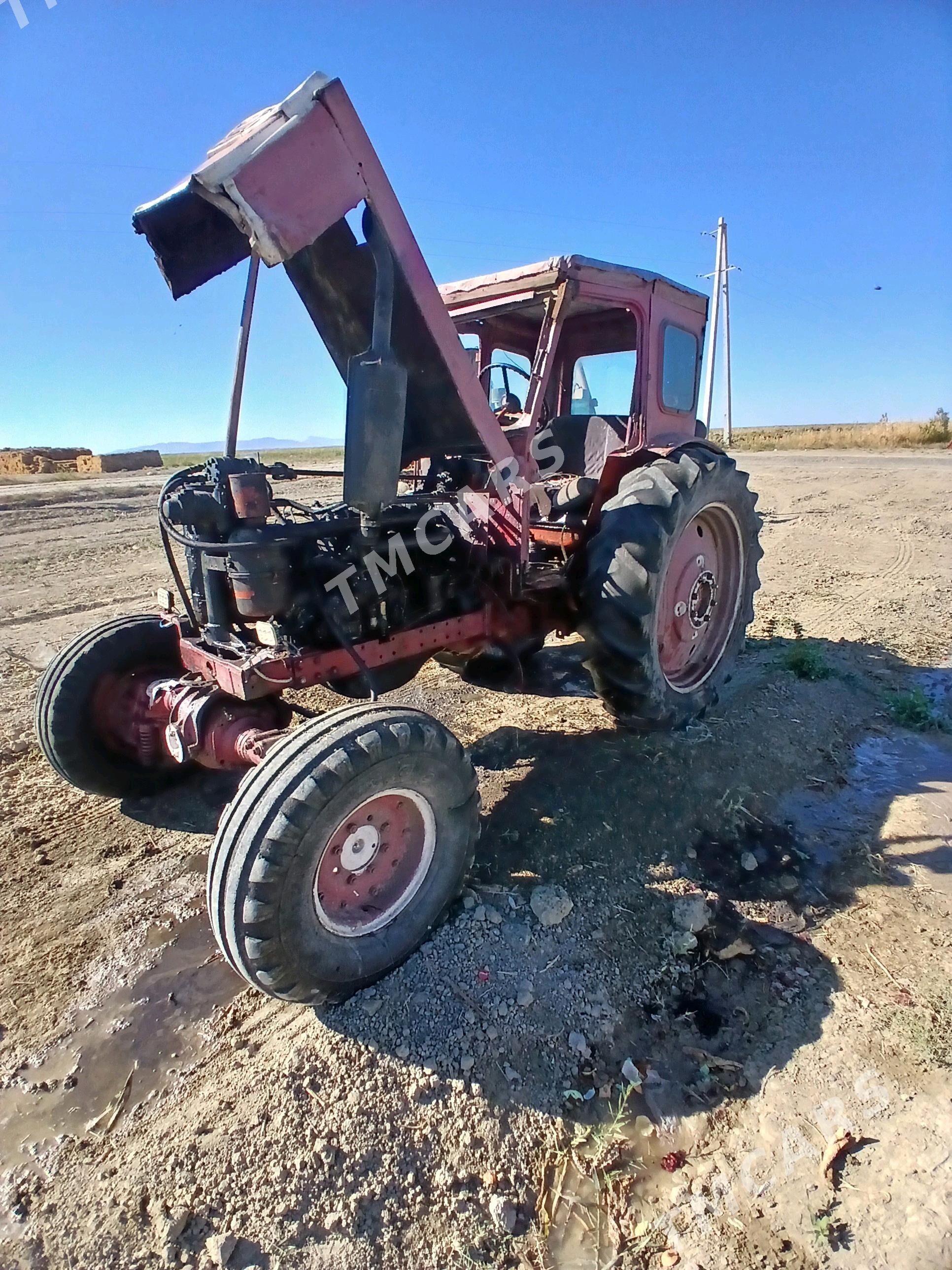 MTZ 82 2000 - 32 000 TMT - Gyzylarbat - img 2