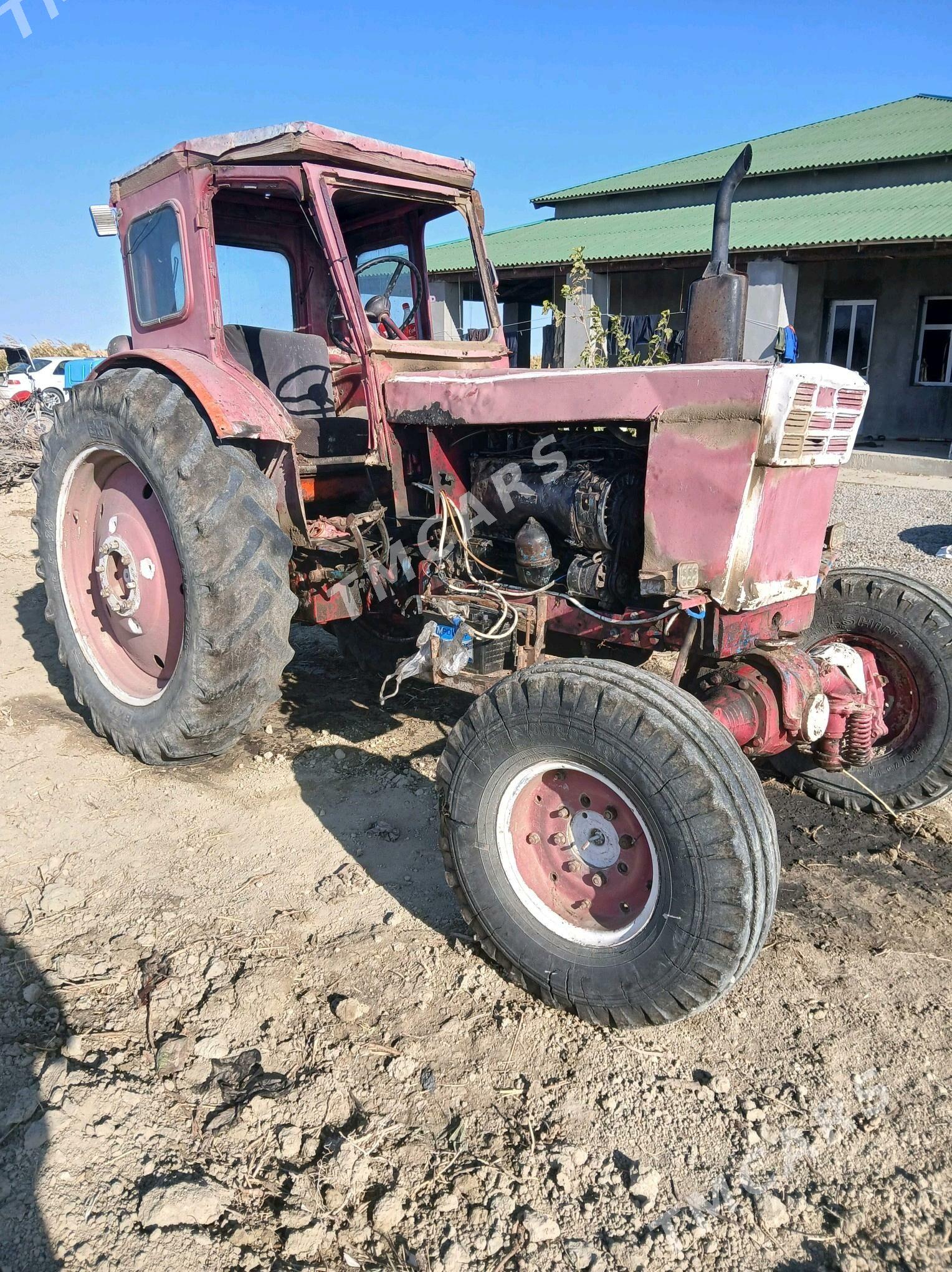 MTZ 82 2000 - 25 000 TMT - Gyzylarbat - img 4
