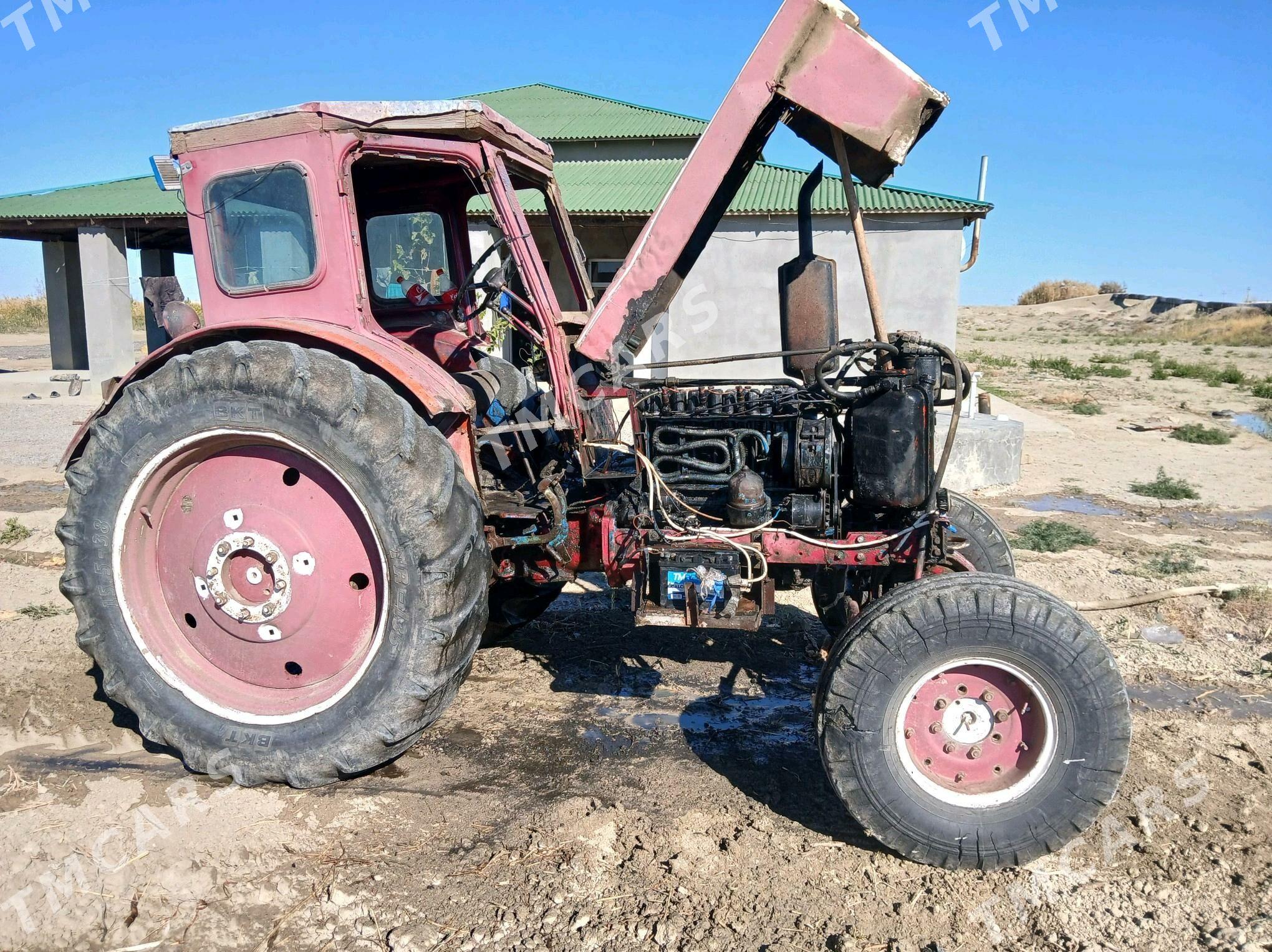 MTZ 82 2000 - 32 000 TMT - Gyzylarbat - img 5