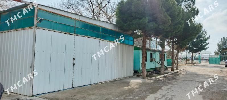 Anew Firma Satlyk Amatly - Ашхабад - img 3