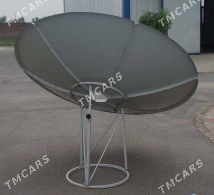 Uly antenna  2.40cm - Mary - img 2