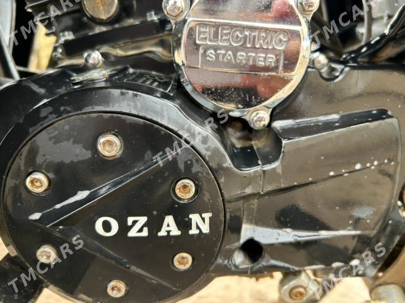 Ozan 200CC 2014 - 30 000 TMT - Farap - img 10