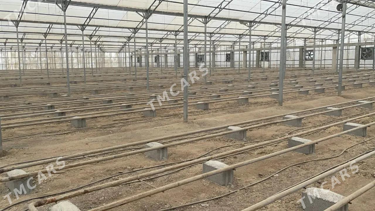 Satlyk teplisa 3 gek - Ашхабад - img 4