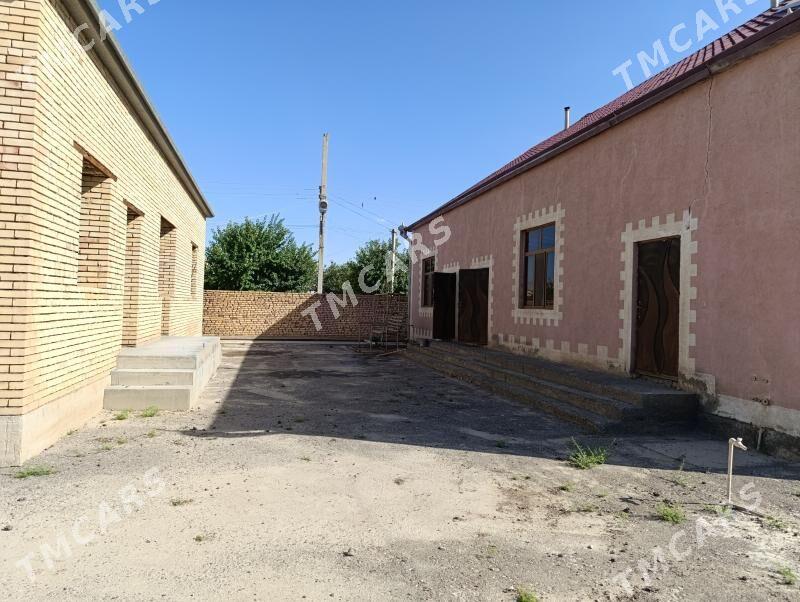 satlyk jay - Murgap - img 2