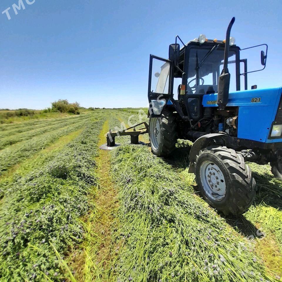 MTZ 82 2017 - 360 000 TMT - Babadaýhan - img 3