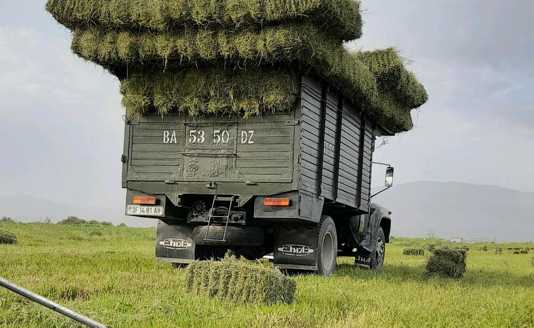 bort kuzba 11 000 TMT - Bäherden - img 2