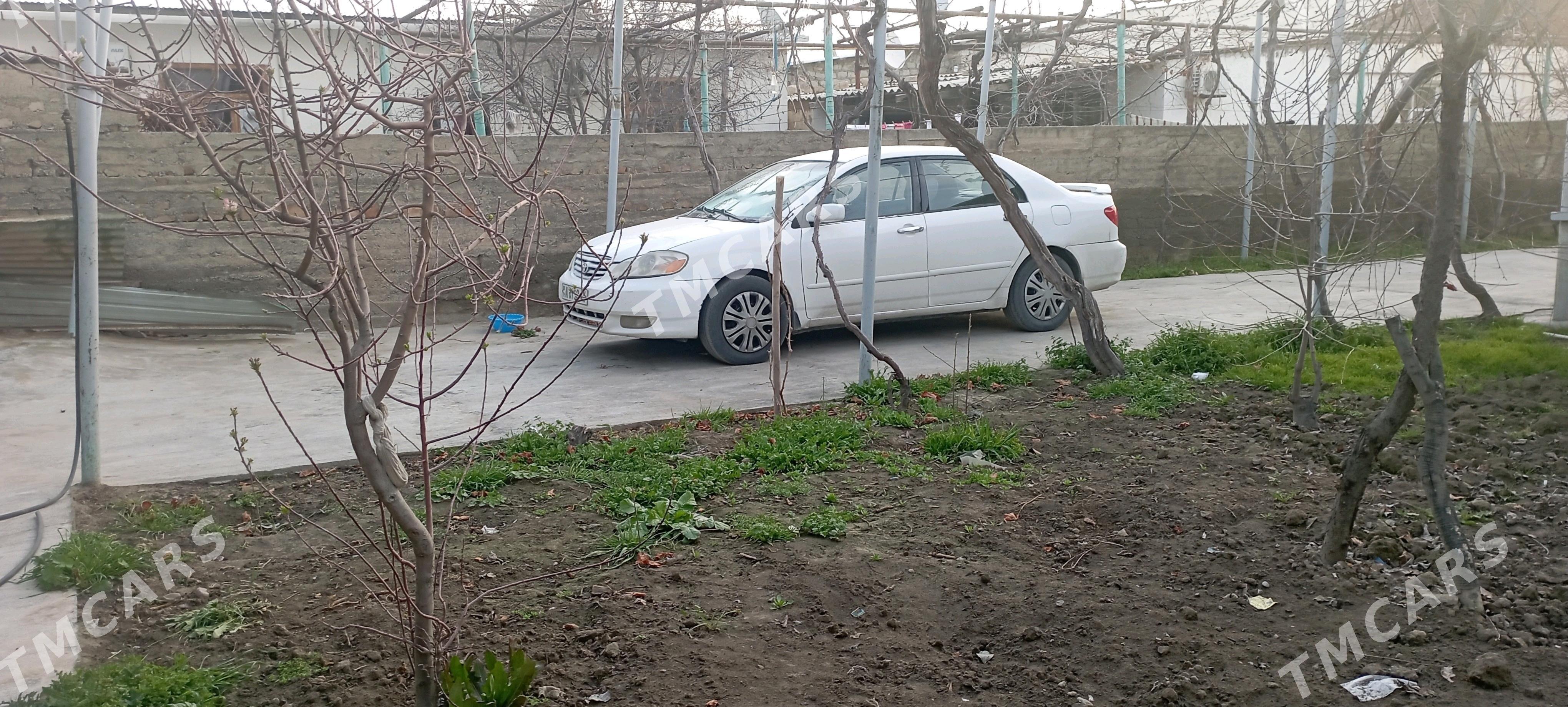 Toyota Corolla 2002 - 90 000 TMT - Änew - img 1