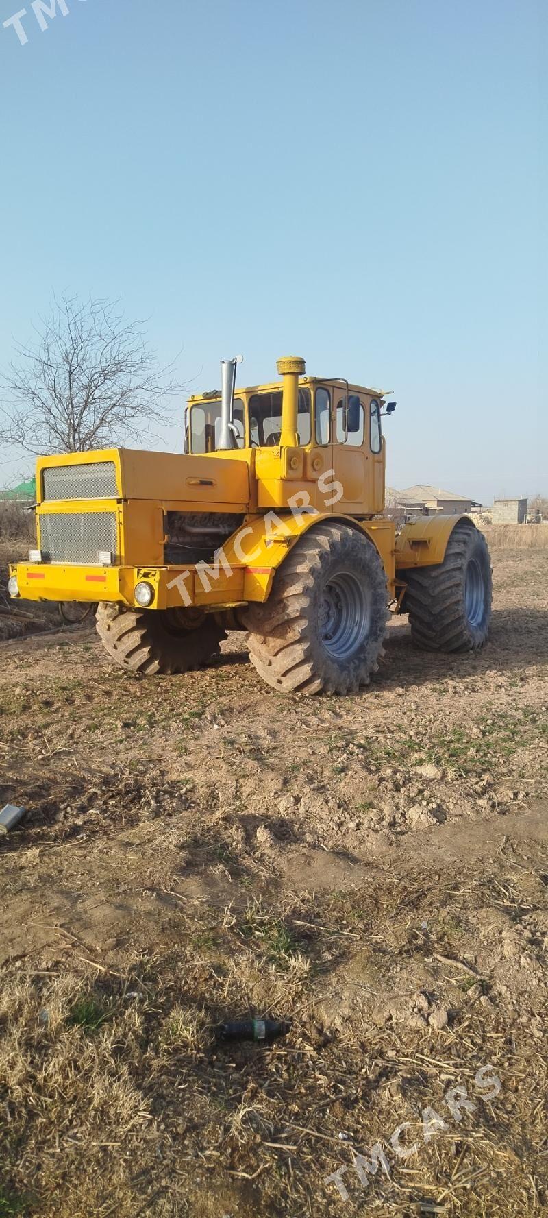 MTZ 82 1991 - 130 000 TMT - Tejen - img 2