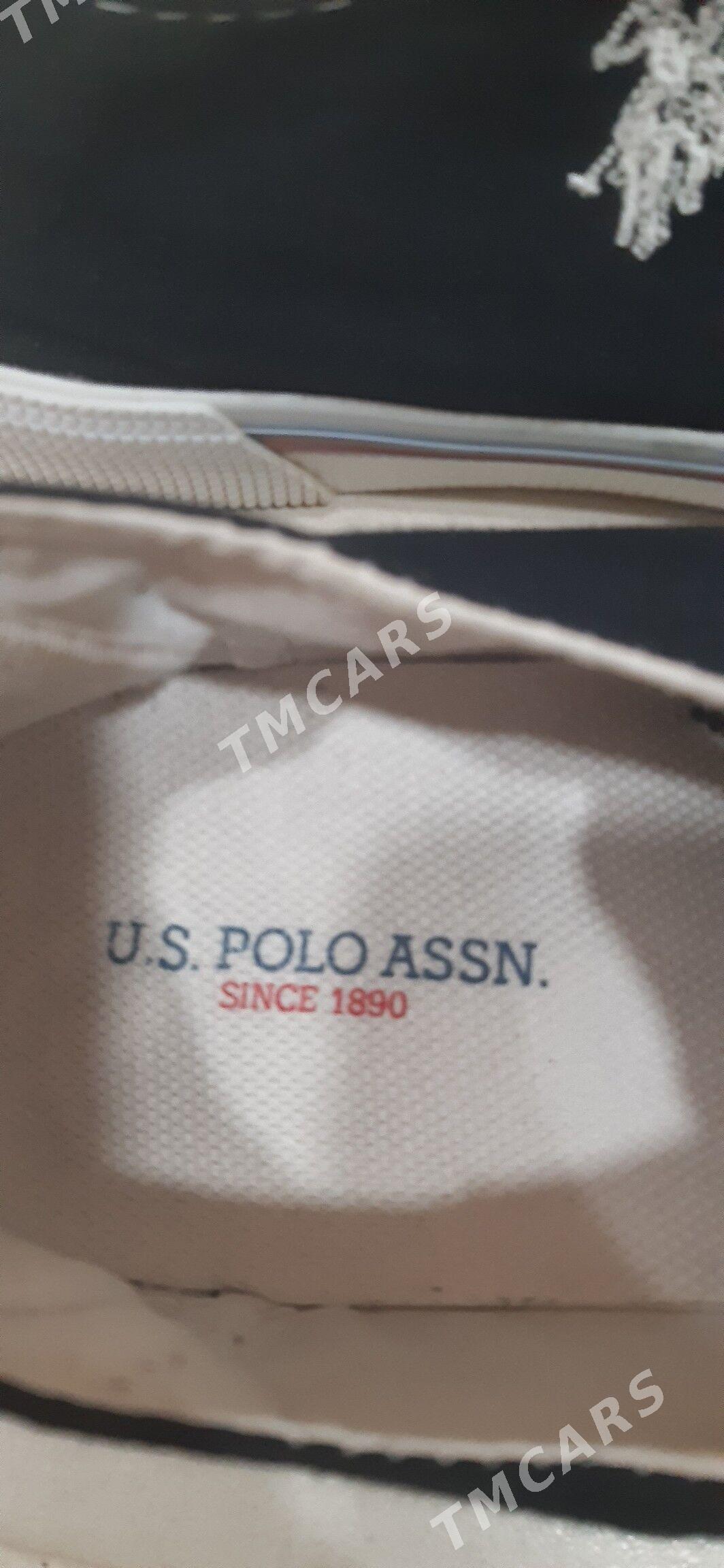 Keды оригинал u.s.polo. - Ашхабад - img 2