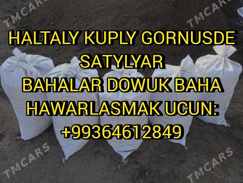 MITI ARZAN BAHADAN  - Aşgabat - img 2