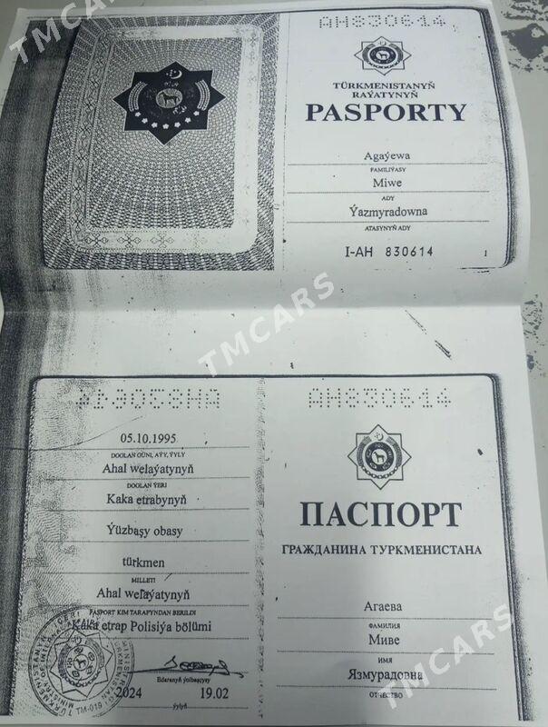 Passport yitdi - Aşgabat - img 2