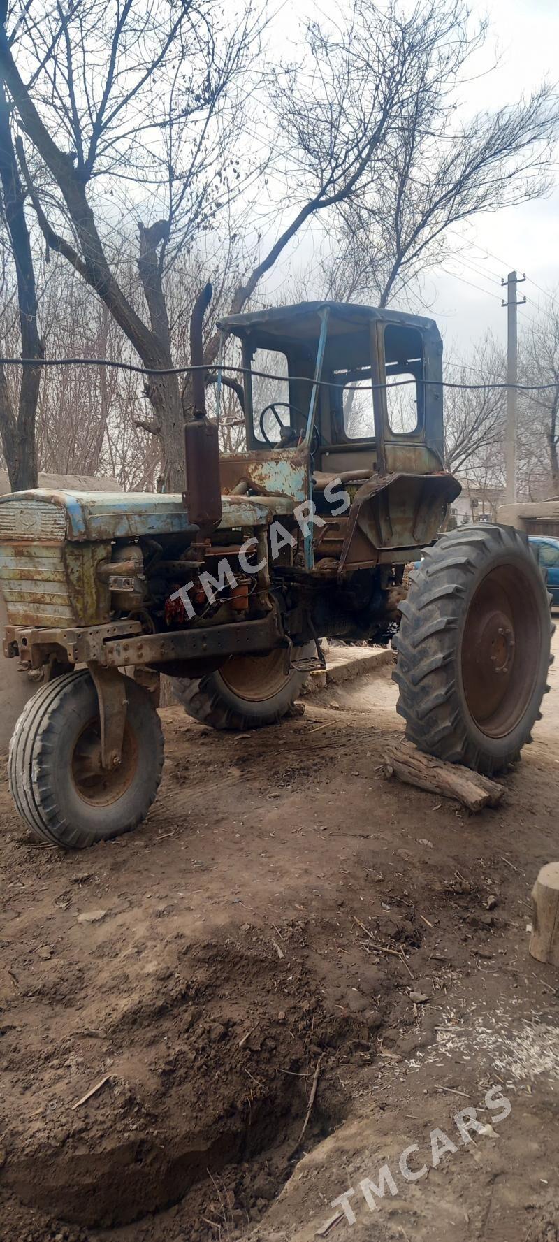 MTZ 82 1989 - 20 000 TMT - Gurbansoltan Eje - img 3