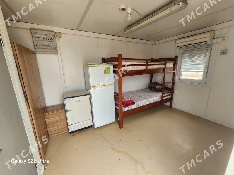 satlyk kamp - Sakarçäge - img 4