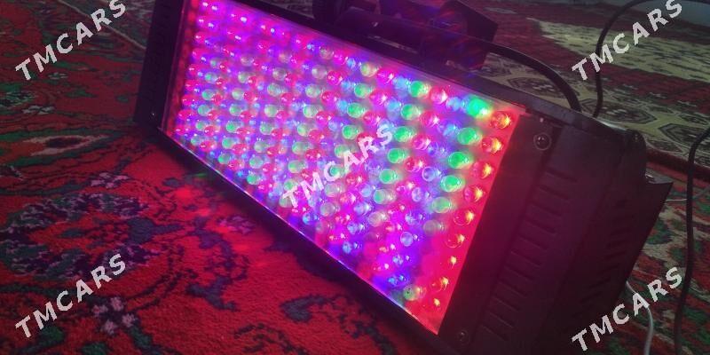 Toy spicka Led - Векильбазар - img 2