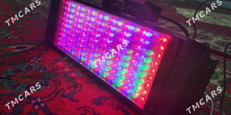 Toy spicka Led - Векильбазар - img 3