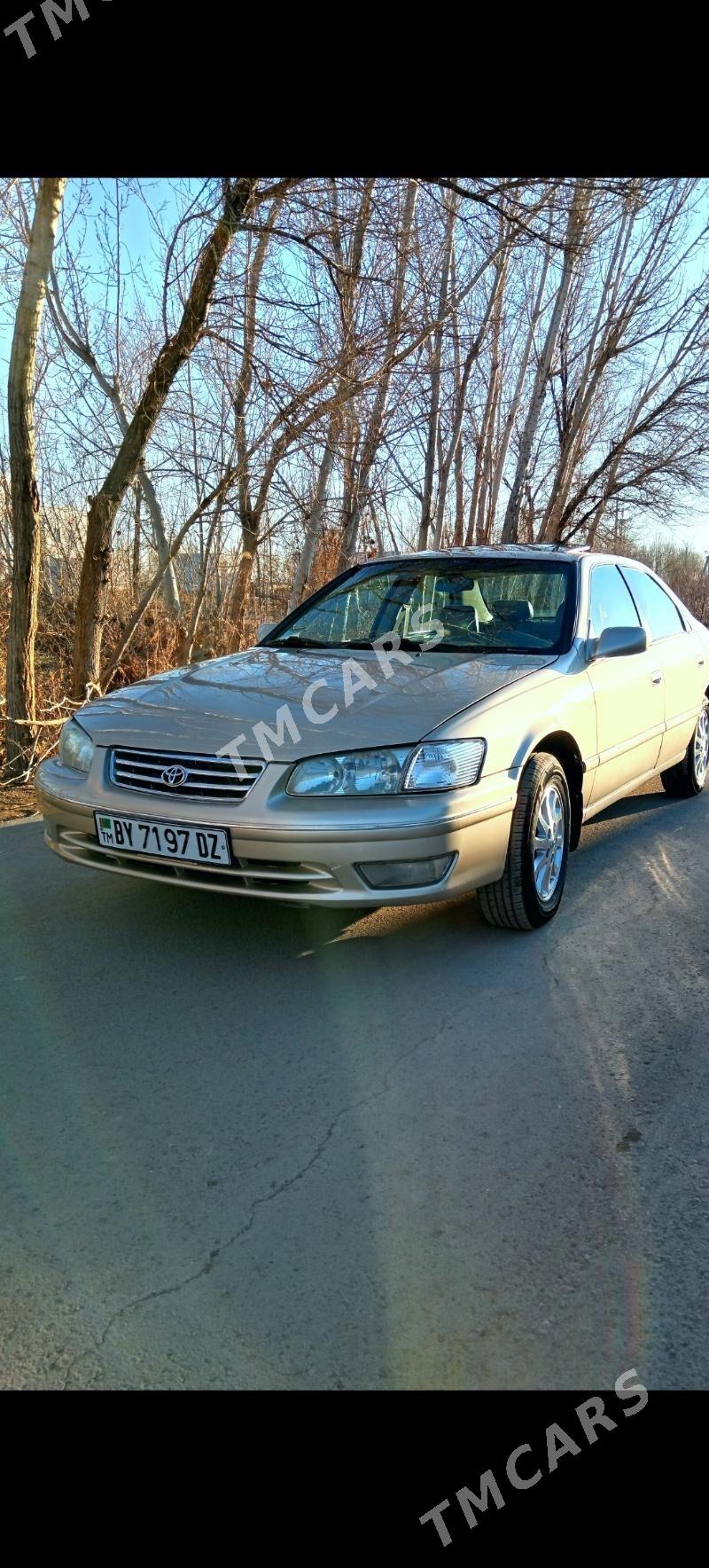 Toyota Camry 2001 - 136 000 TMT - Köneürgenç - img 4