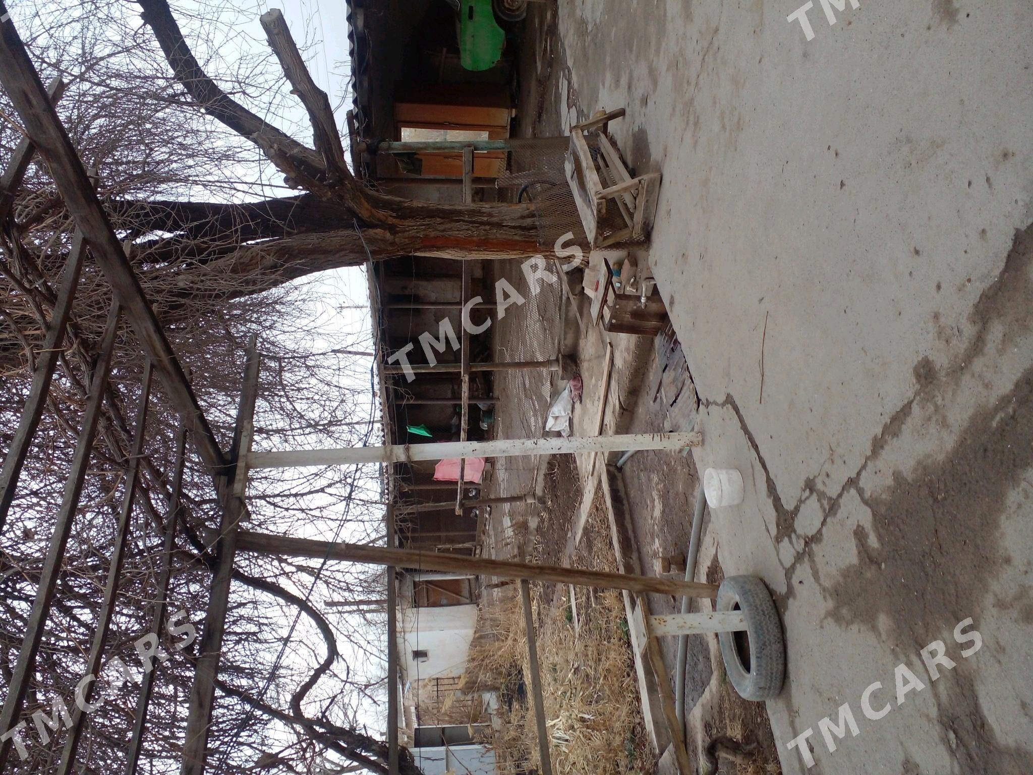 дом - Теджен - img 6
